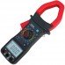 Клещи токоизмерительные Mastech MS2000G, в кейсе